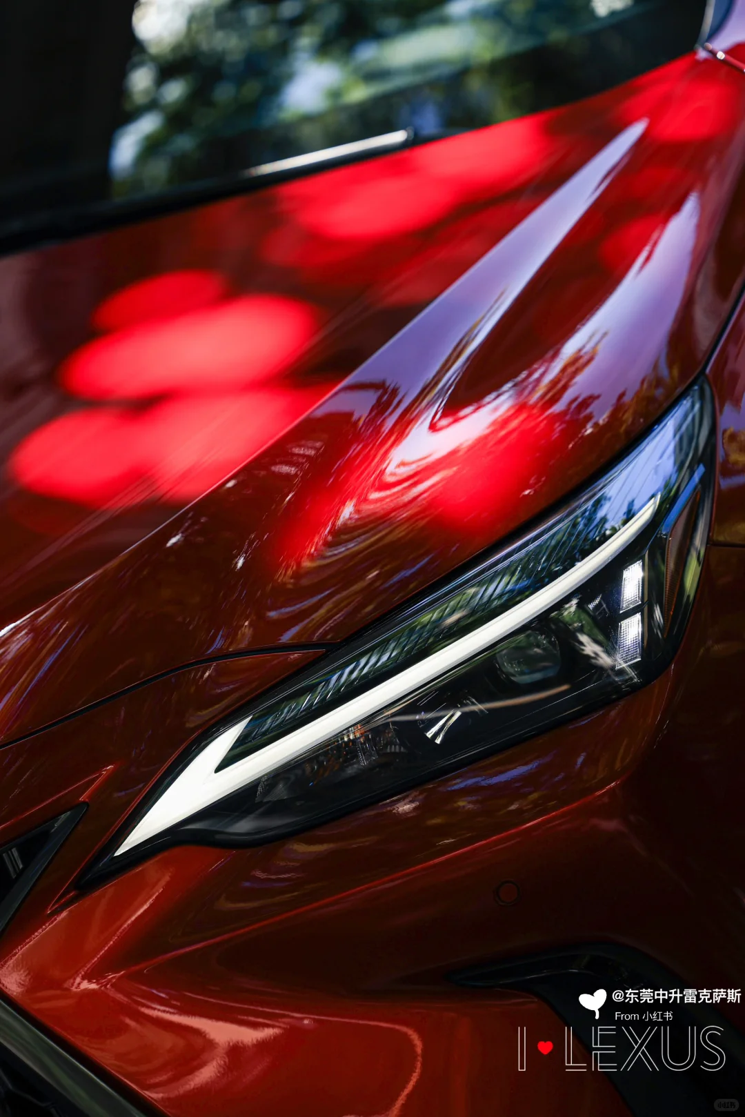 精致女生必入💯Lexus NX200 🥰首付3万开走