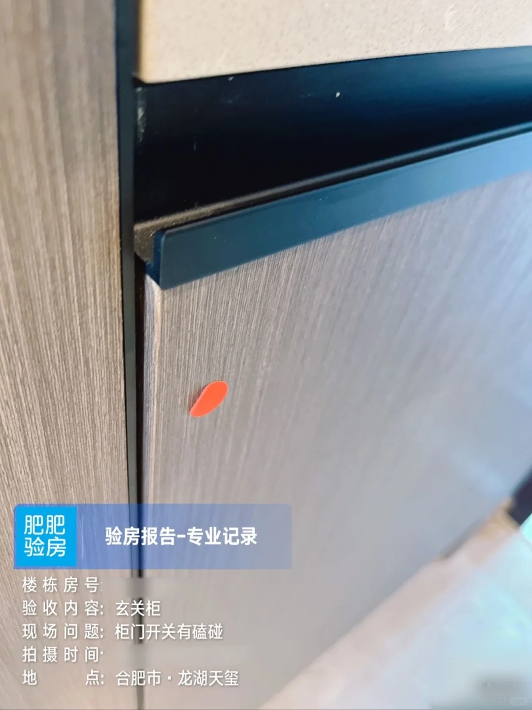 龙湖天玺验房报告