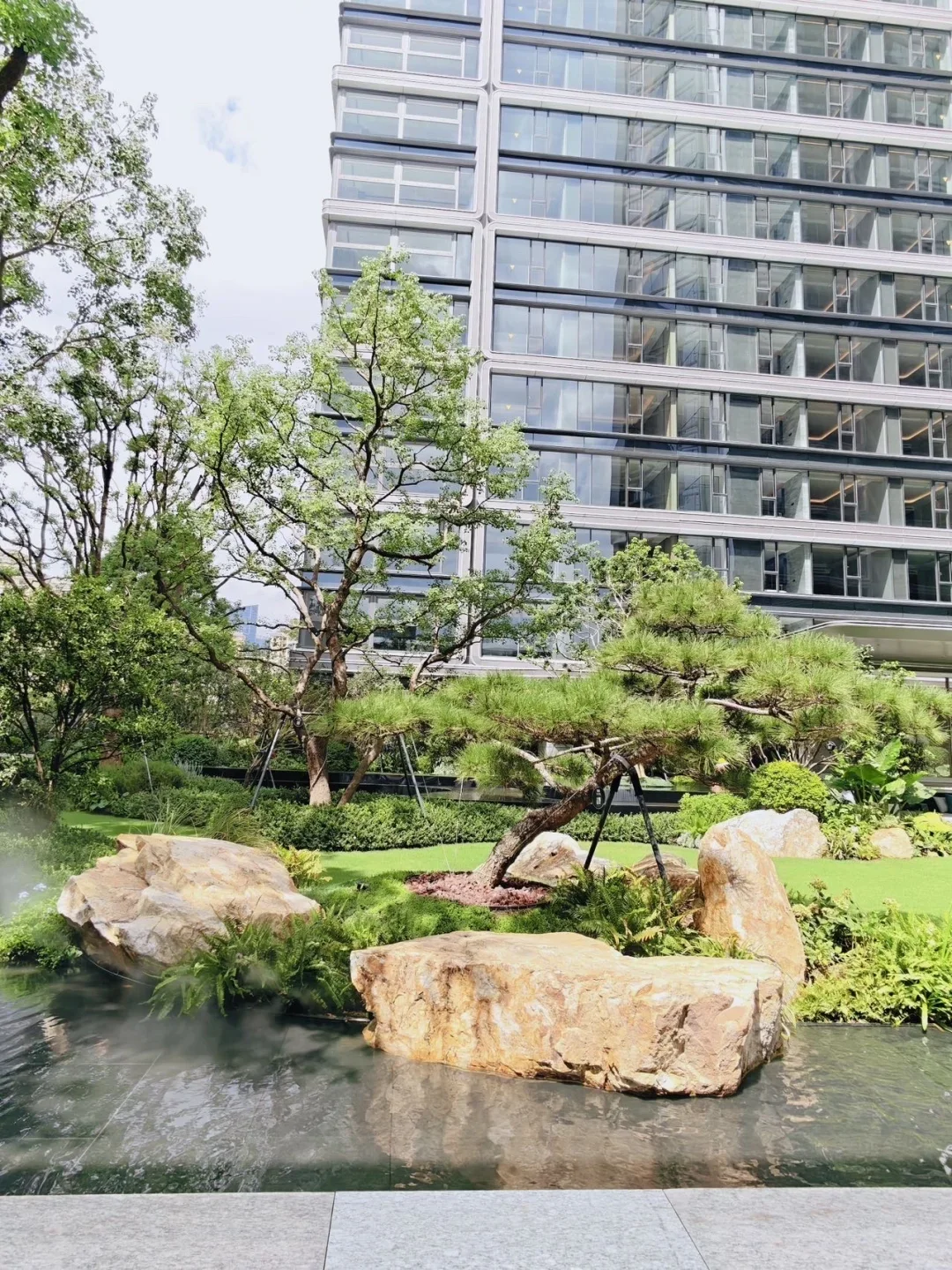 幸好两年前，我没有无脑摇号