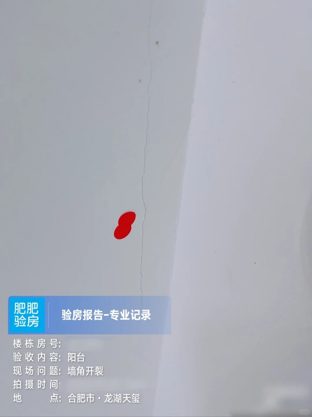 龙湖天玺验房报告