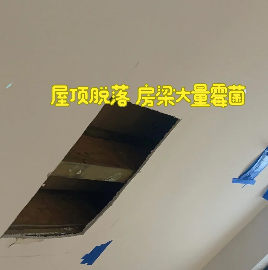 布里斯班南區仲介避雷貼 賣房使用虛假报告