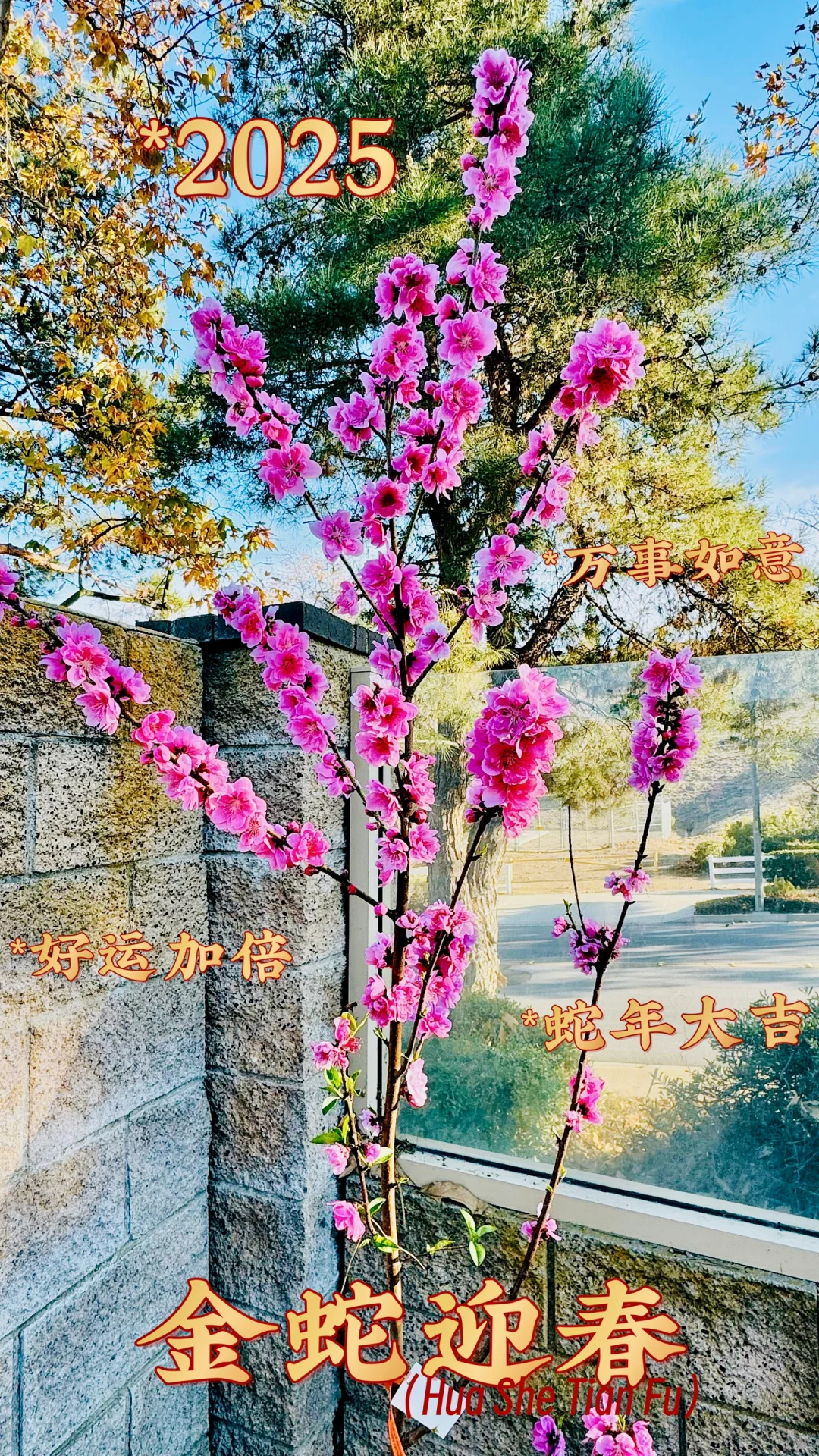 为什么在这个高利率时期买投资房？