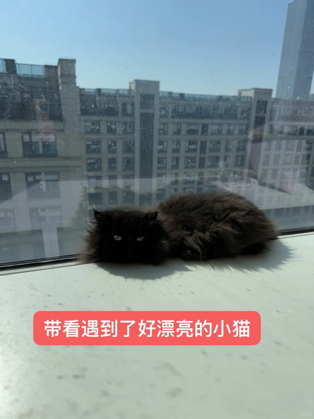首付29w I 月供4k 也能安家杭州啦