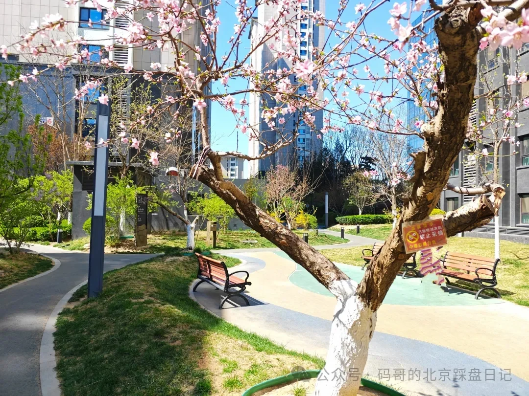 海淀回迁房小区的天花板—魏公村佳苑（上）