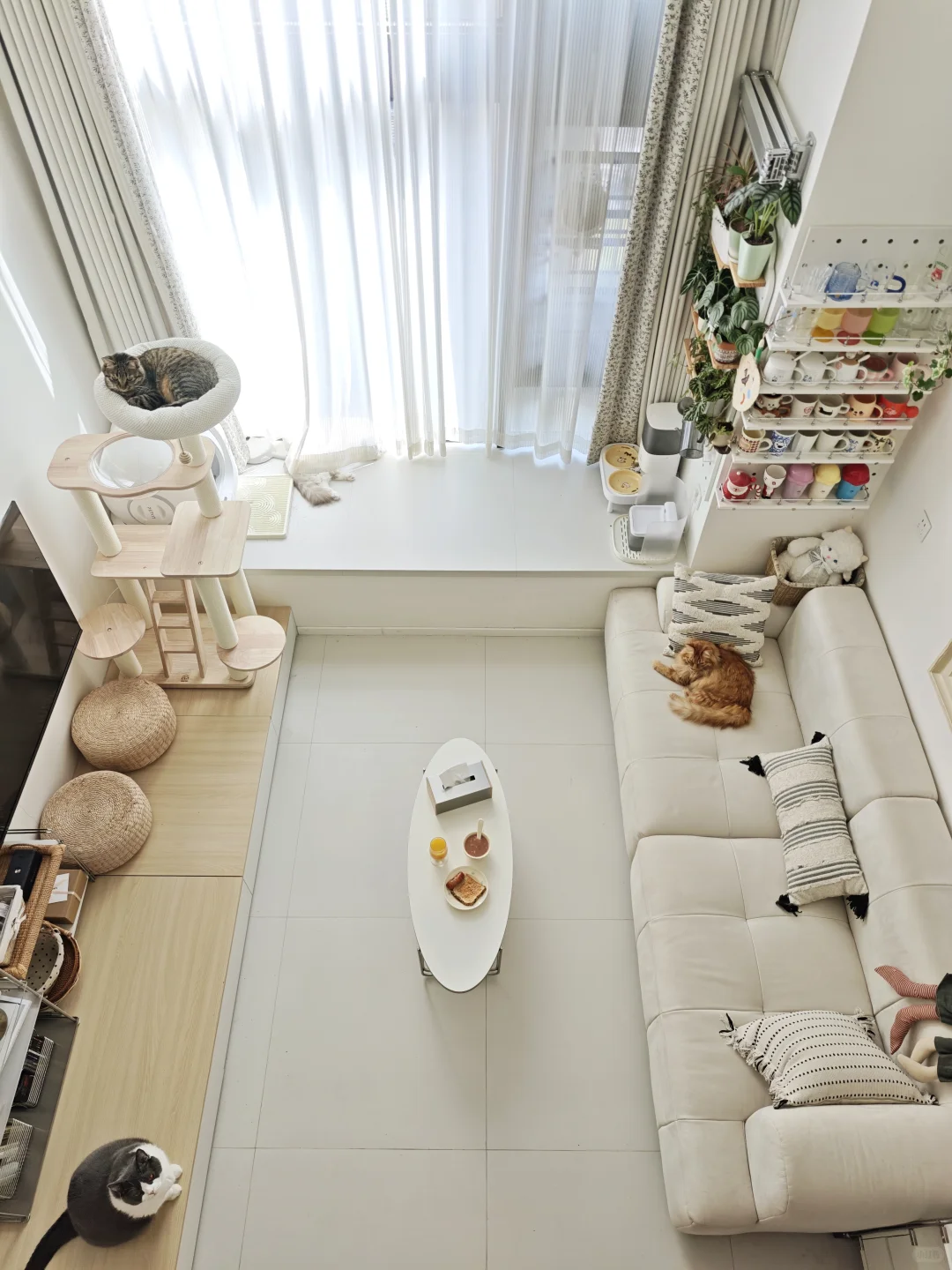 29m²的家☁️一个人在家里过周末真的太爽了