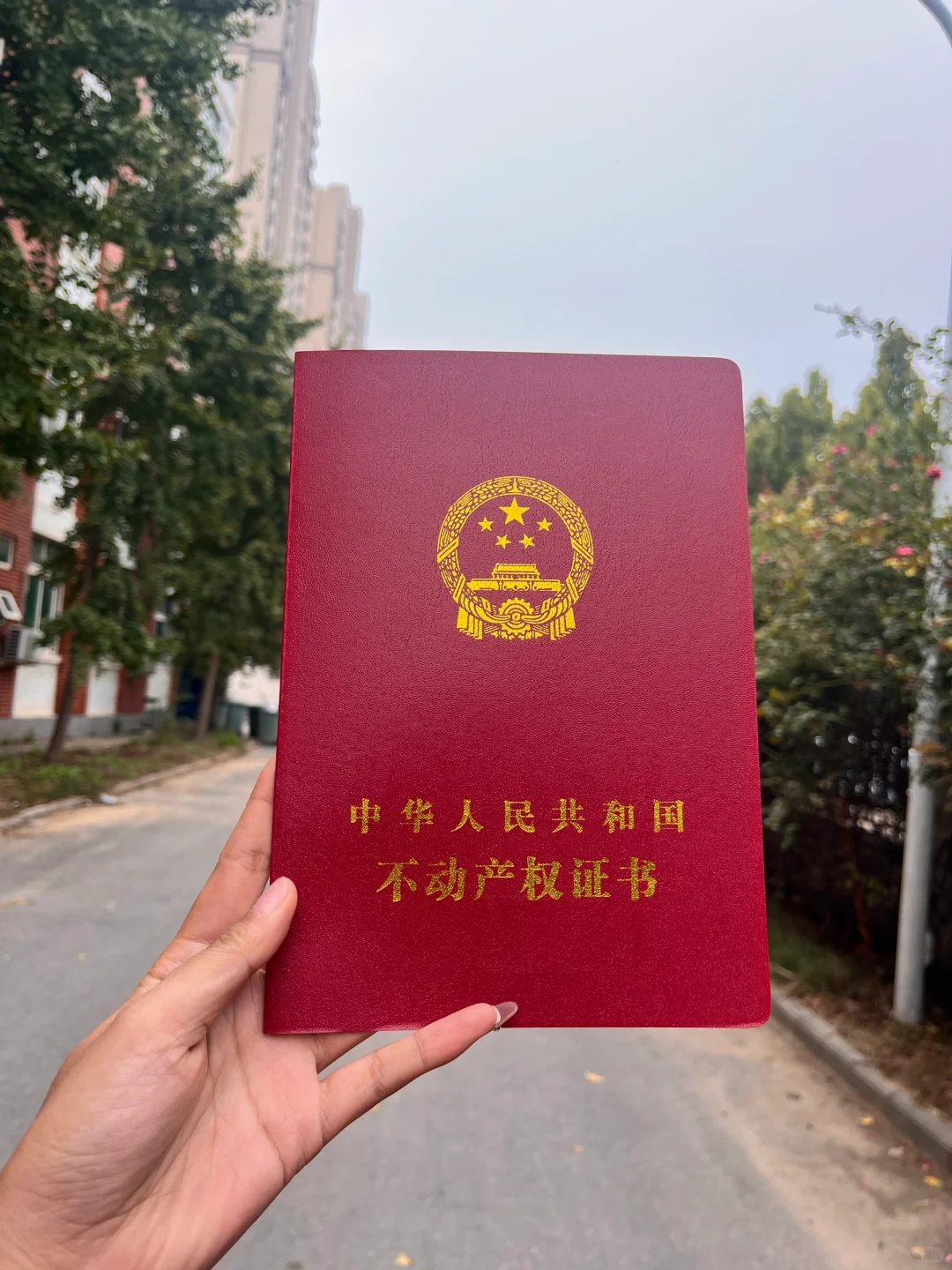 00后郑州女教师80㎡小家纯公积金贷款上岸