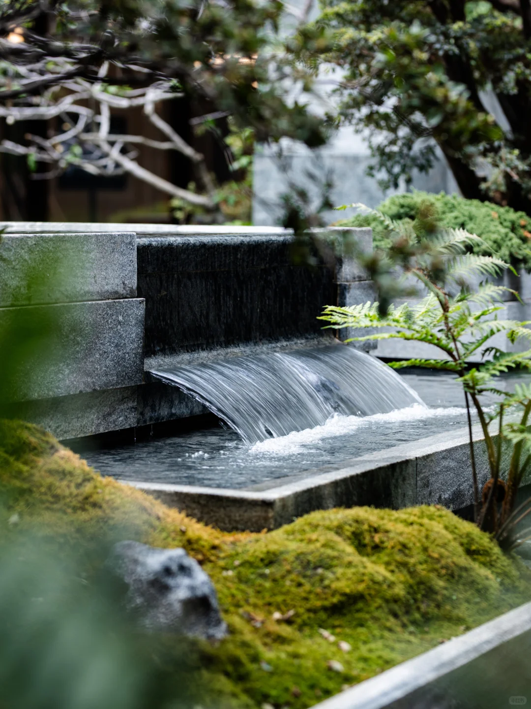 苏州绿城「凤起潮鸣」合院｜沉浸东方美学~🍃