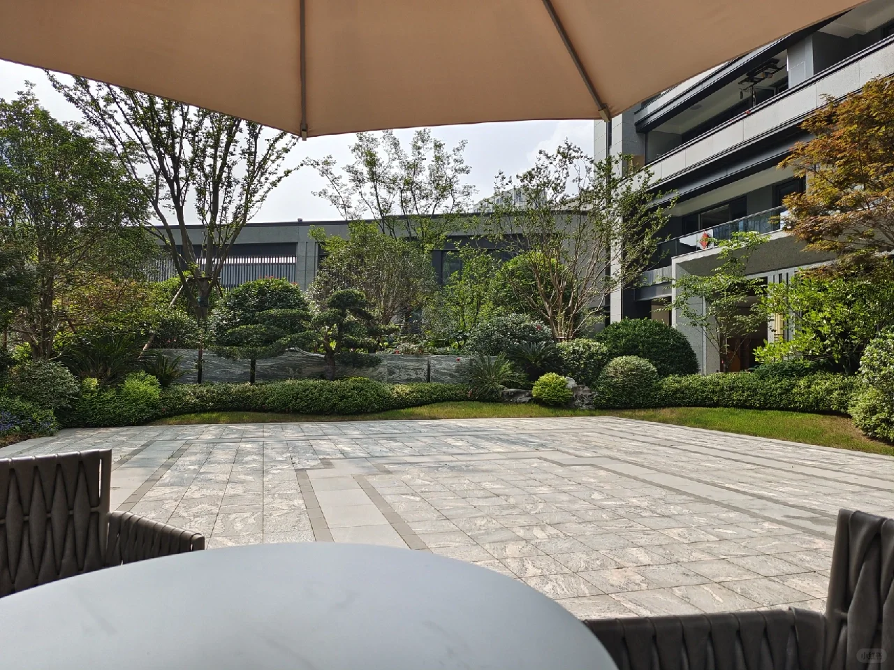 今日看房金茂首开国樾