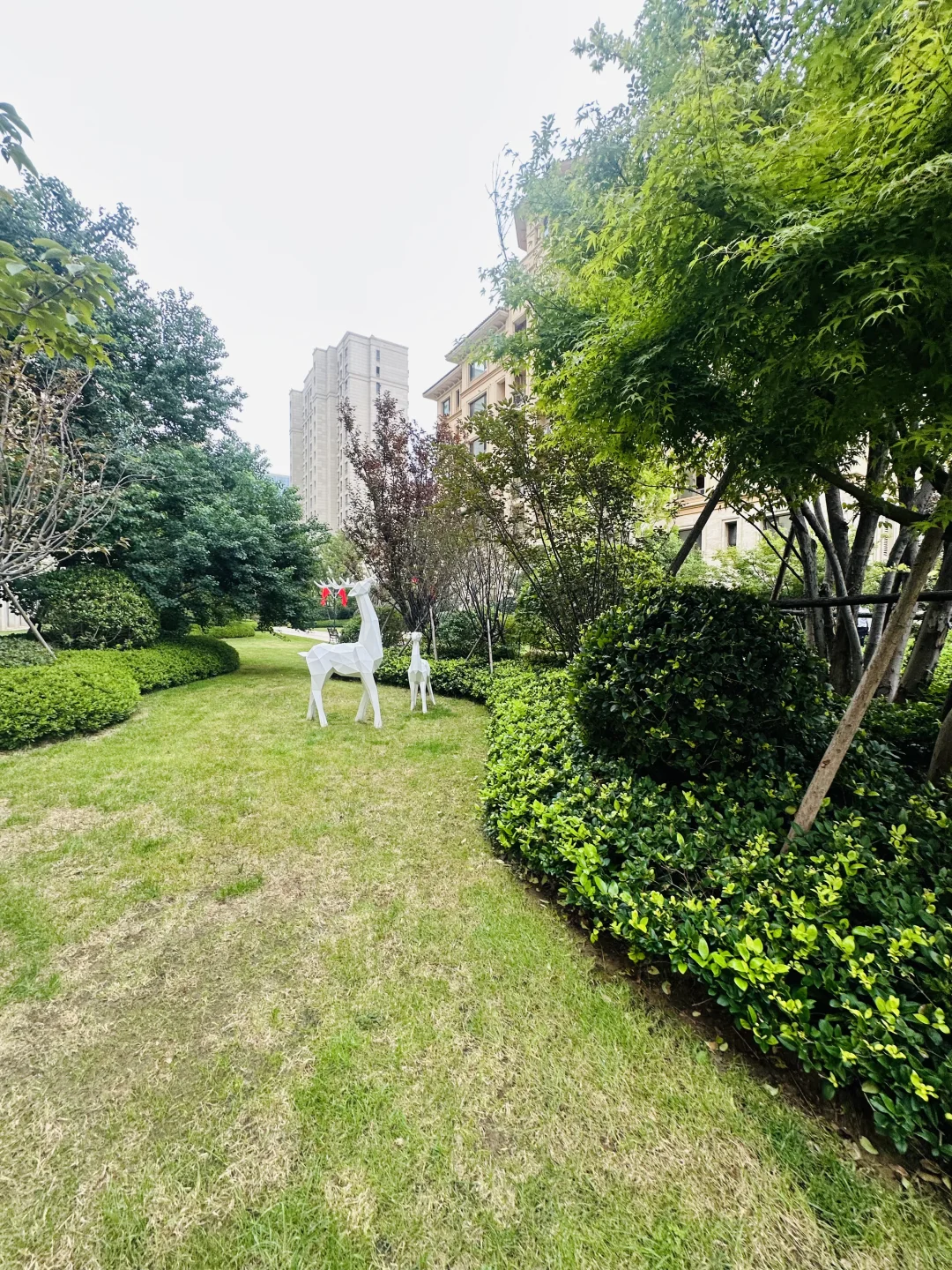 崂山区400W🏘️住精装修120平准现房，实验书