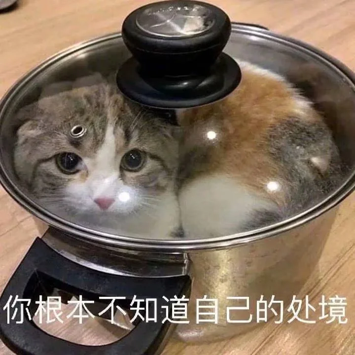 谁懂啊！一天的工作结束回来发现家没了