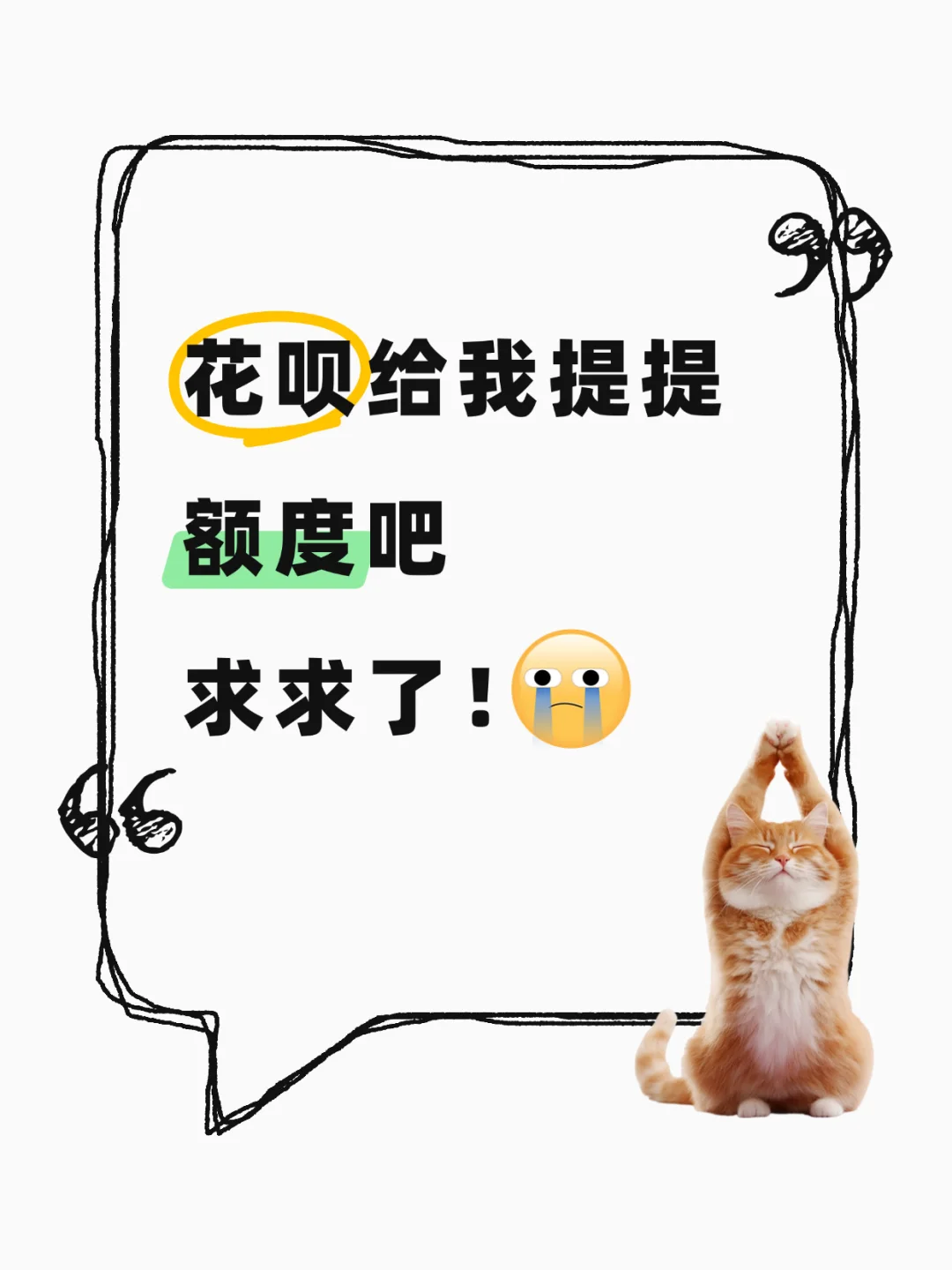 好奇大家花呗额度是多少？🤔