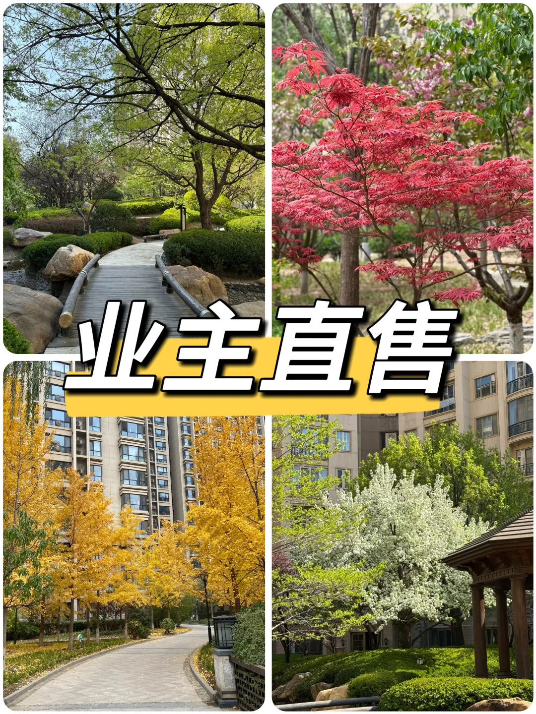 北京朝阳业主急售，中介勿扰！