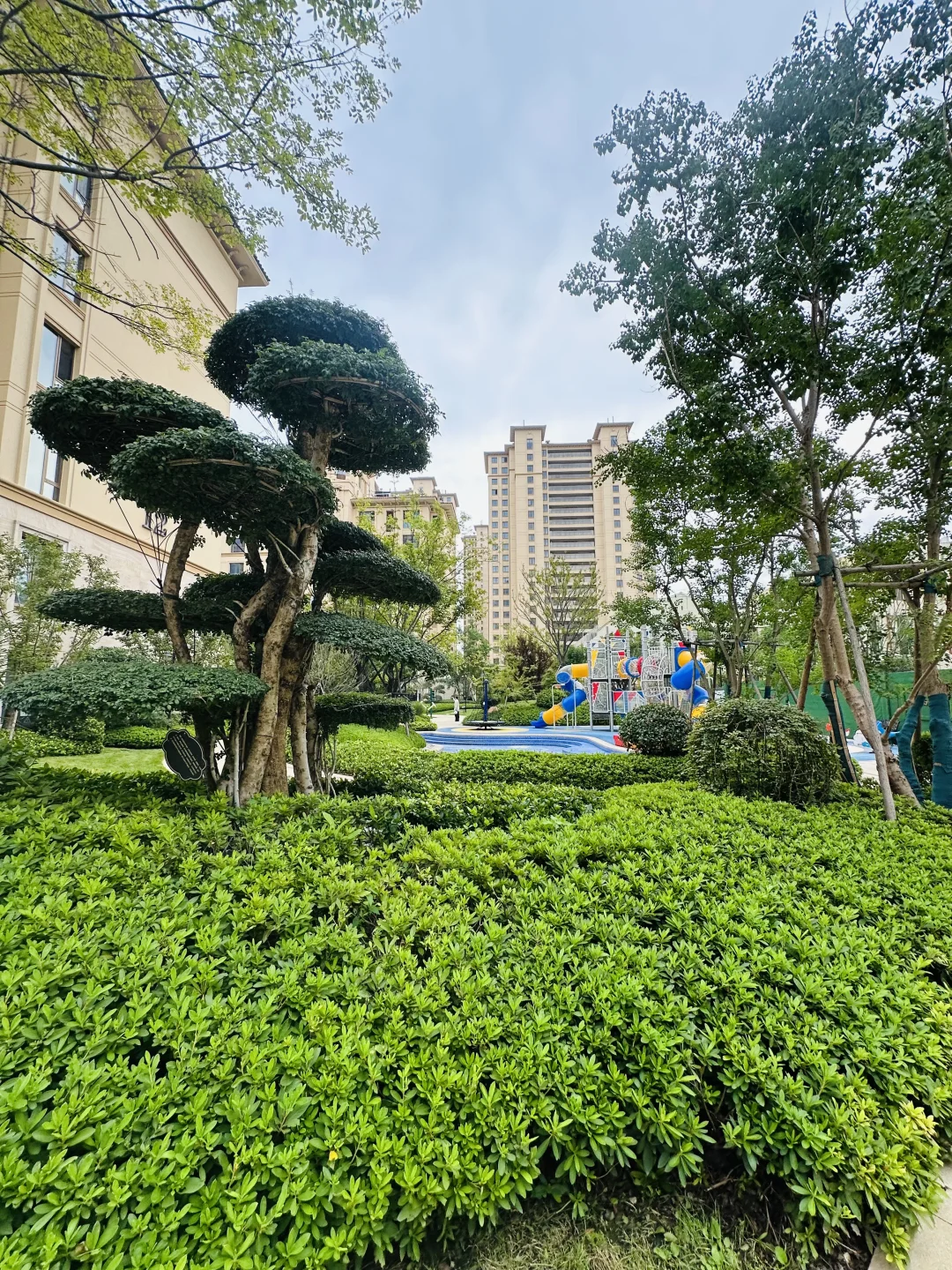 崂山区400W🏘️住精装修120平准现房，实验书