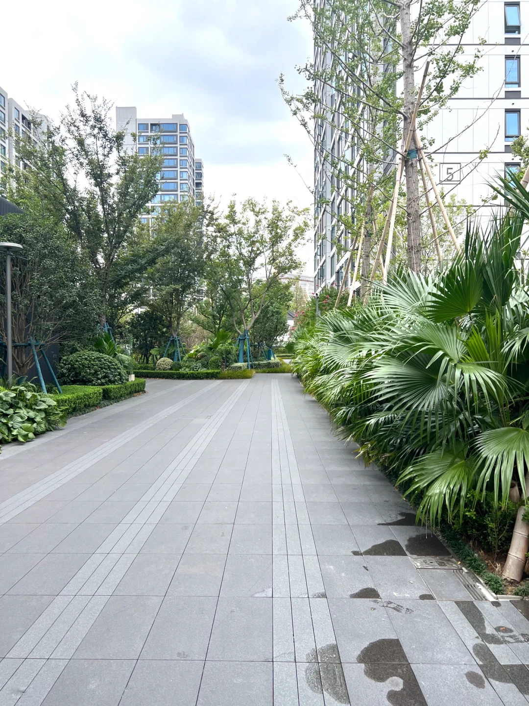 宁波次新房万科朗拾直降34W刚需捡漏必看房