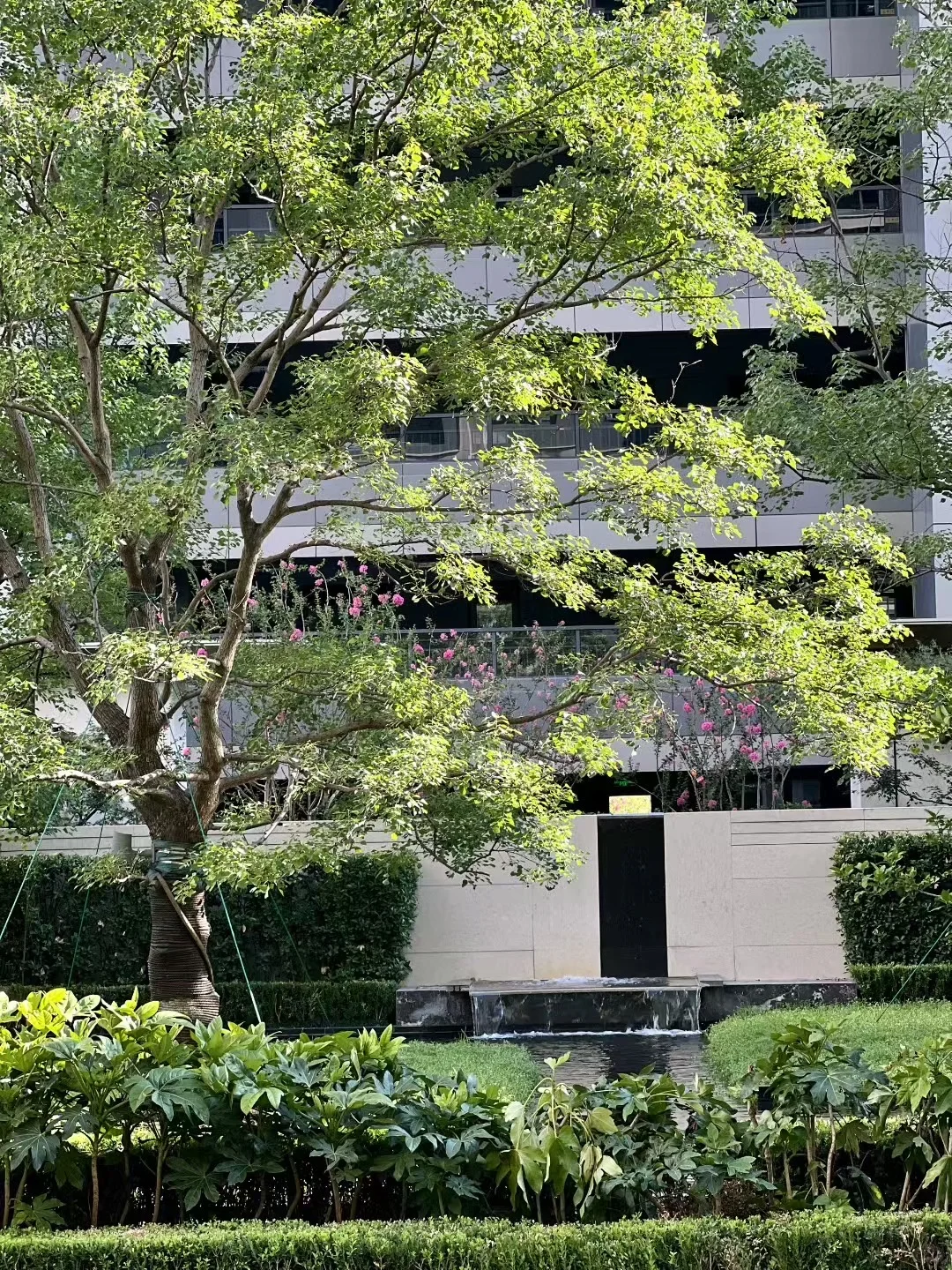 万科朗拾雨核140 ㎡ 🏖️还是璞云129 ㎡，答案