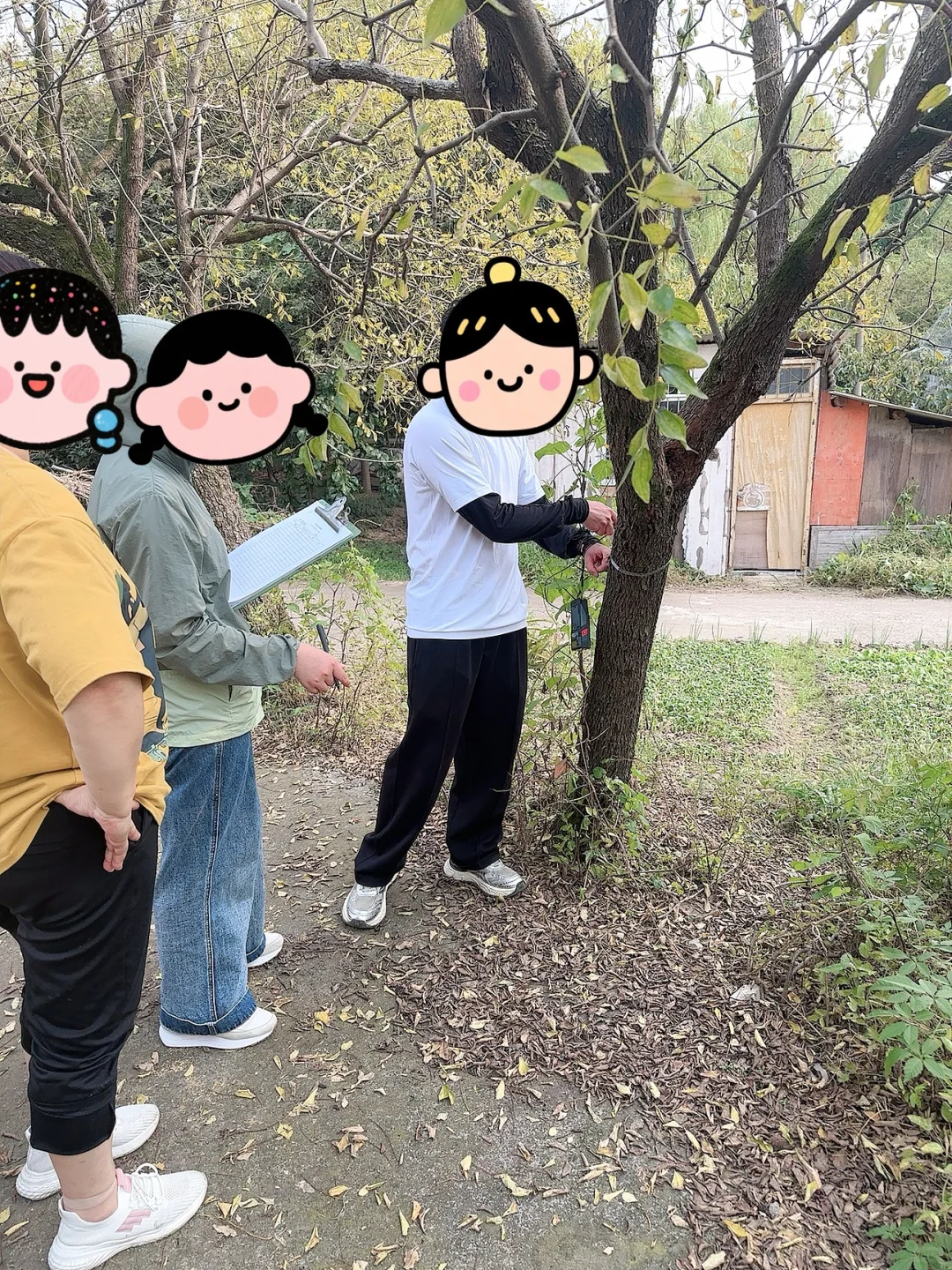 浙江新农村规划丨拆老房子前做房屋评估