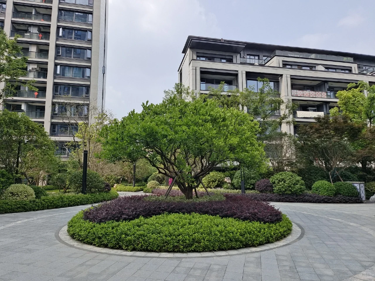 今日看房金茂首开国樾