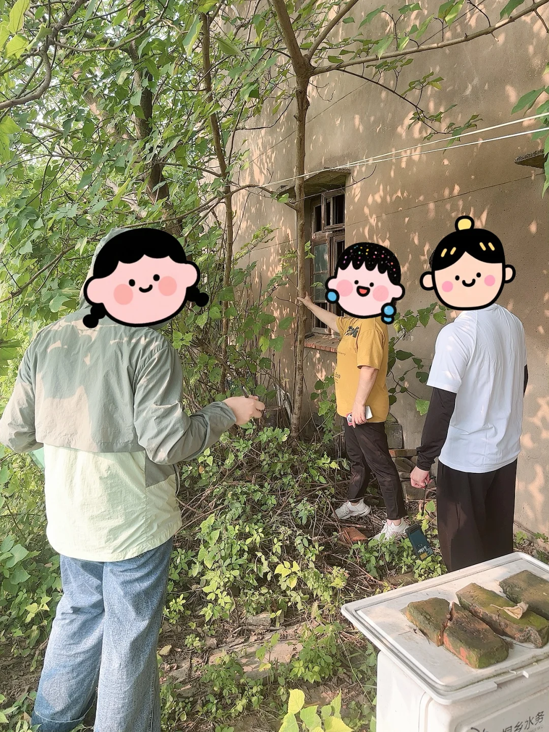 浙江新农村规划丨拆老房子前做房屋评估