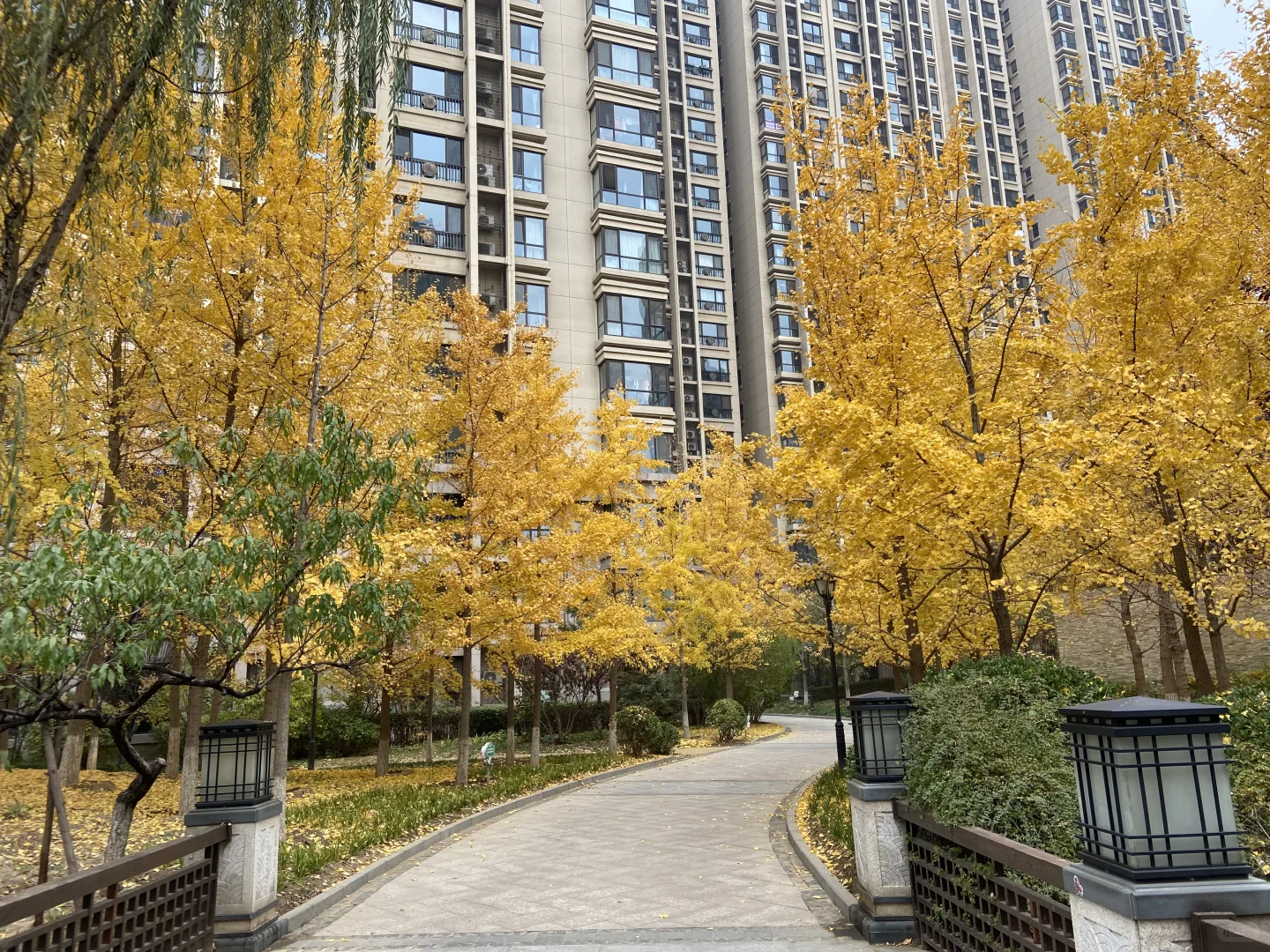 北京朝阳业主急售，中介勿扰！