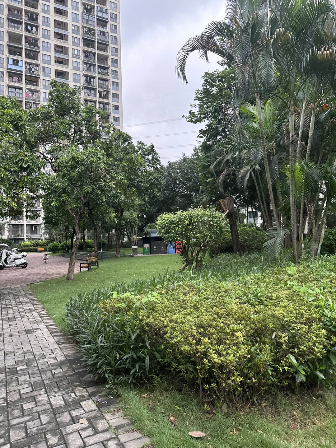 深圳牛马🐮150W看房记录 —龙华招商锦绣观园