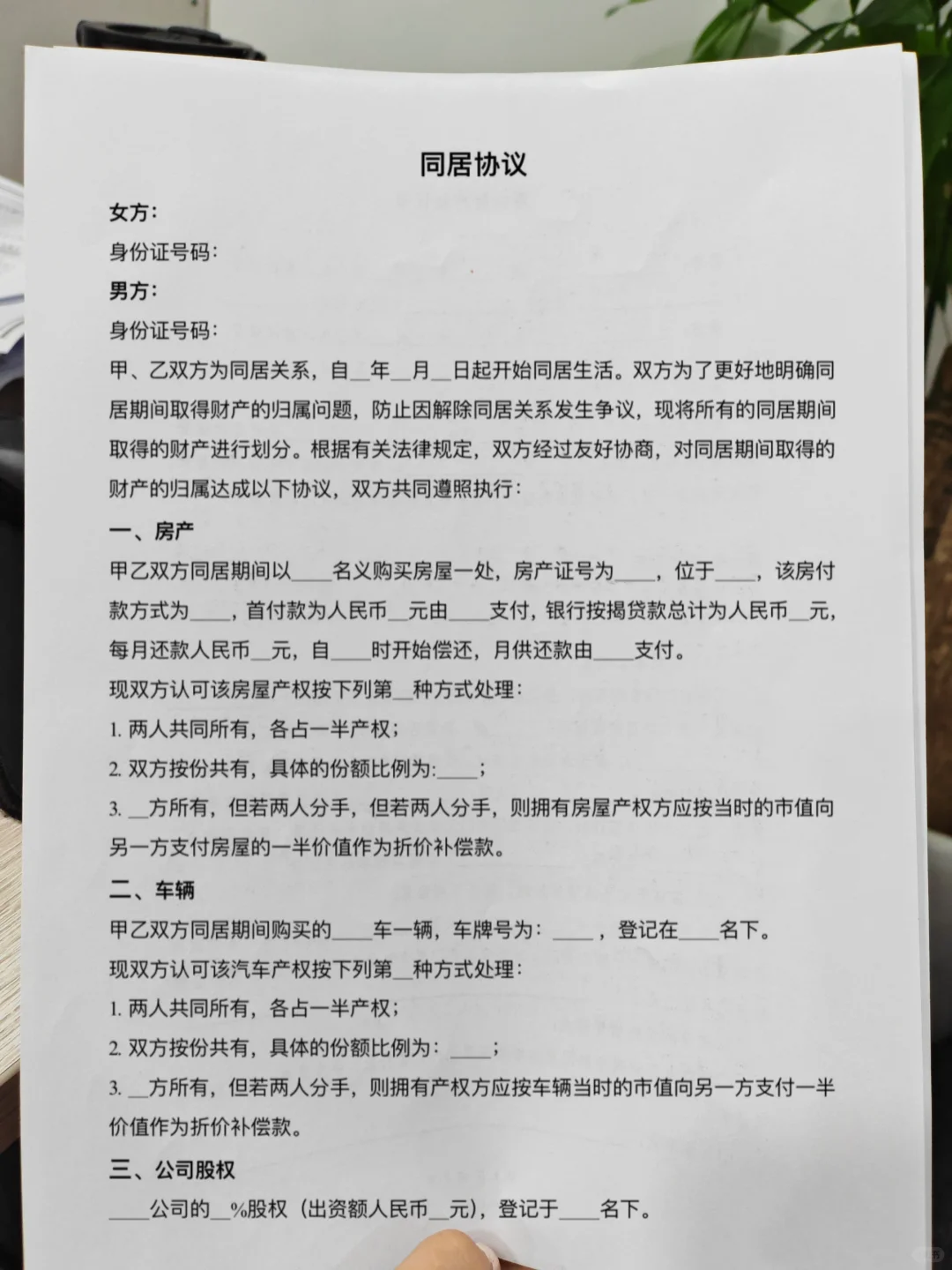同居协议怎么写，同居协议电子版，同居模板
