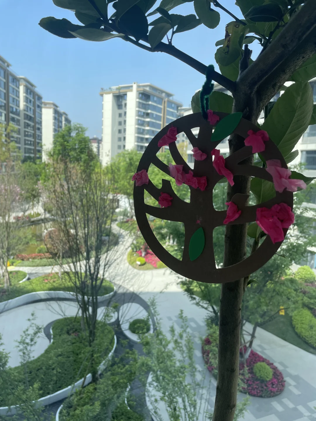 楼王西晒的阳光是最好的软装☀️