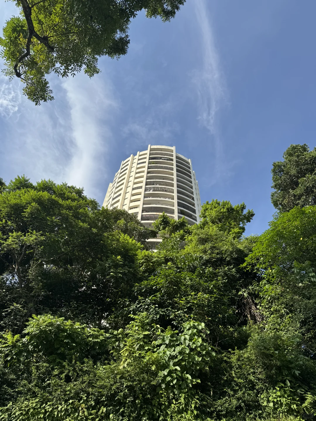 🇸🇬提前踩盘明年楼王ThomsonView｜真实感受
