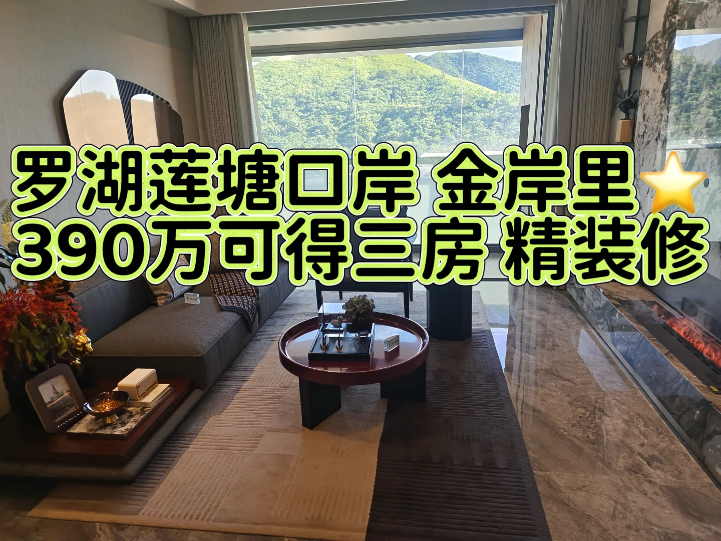 ⭐金岸里⭐罗湖莲塘口岸 精装修准现房