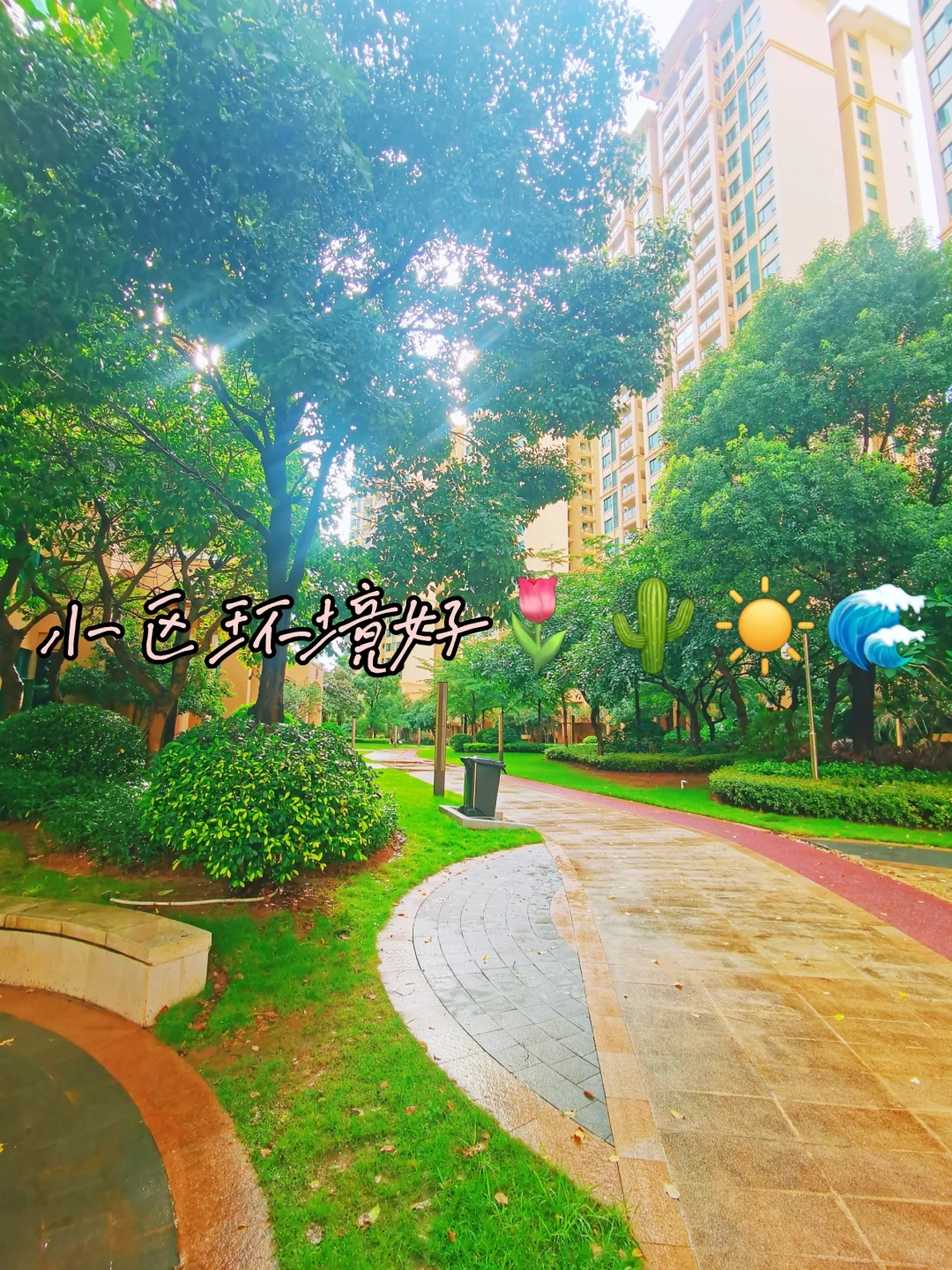 🔥捡漏！实景现房！总价35万买三房！