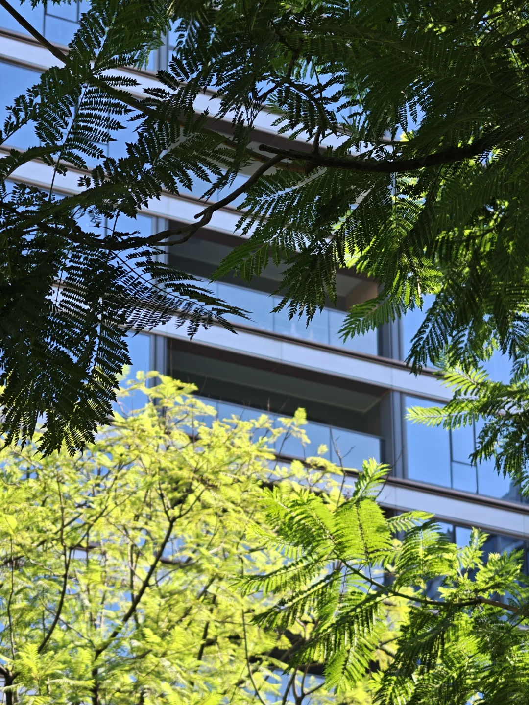 壹号院，真的没有平替