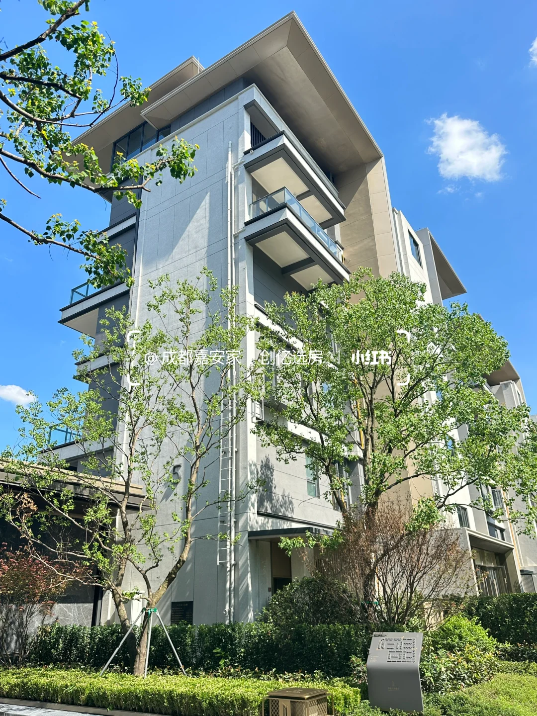 高新区大源旁现房别墅 原700万 现446万