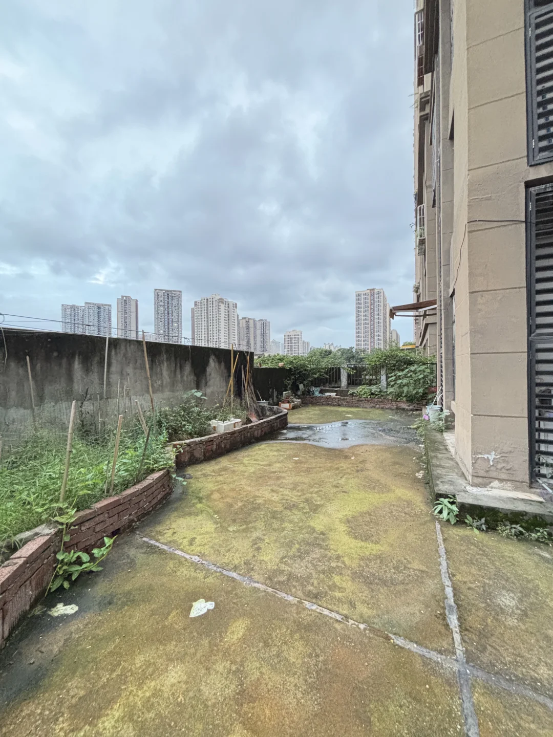 大学城｜精装3房带露台🏠｜商圈旁