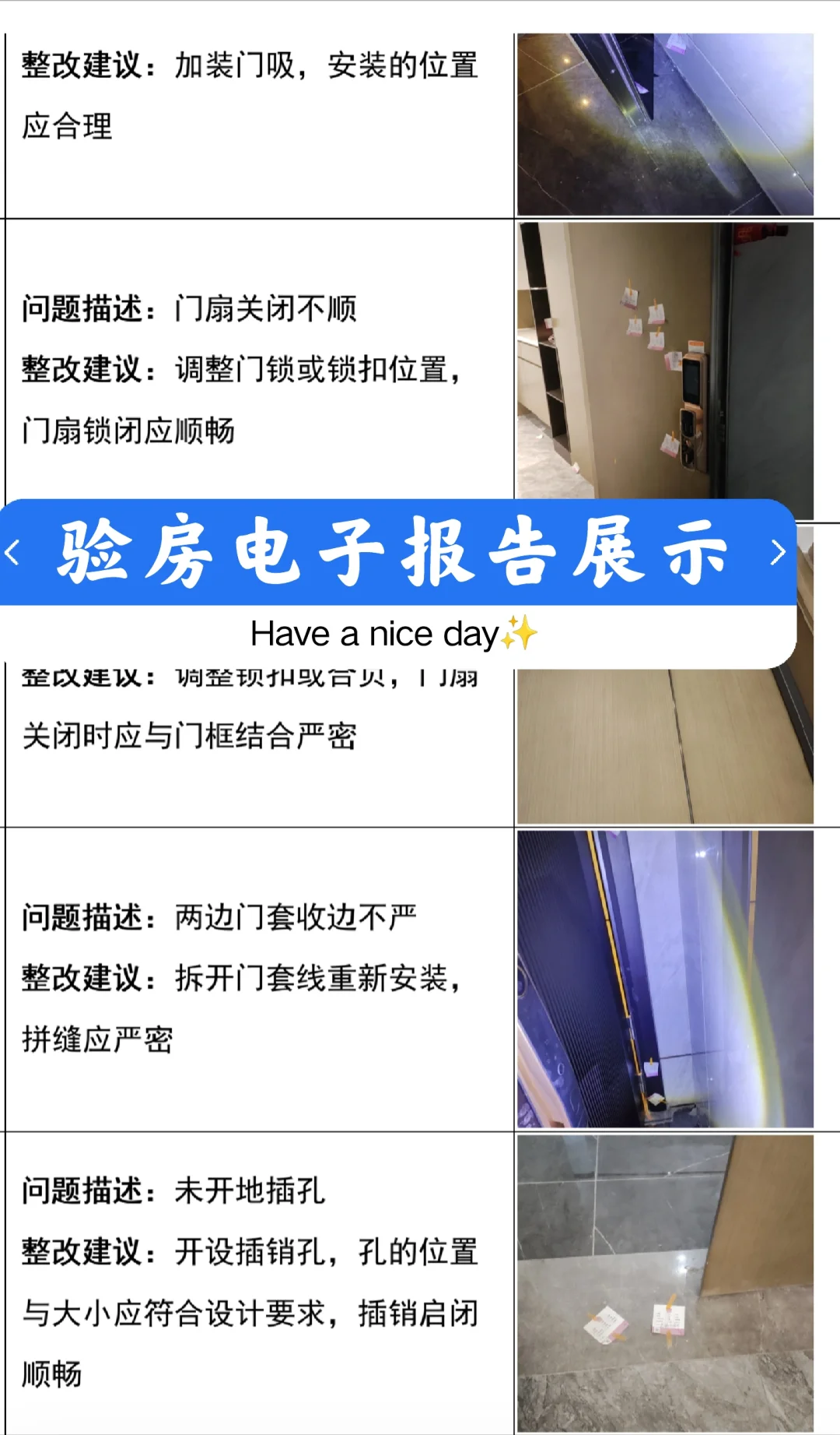 验房电子报告展示