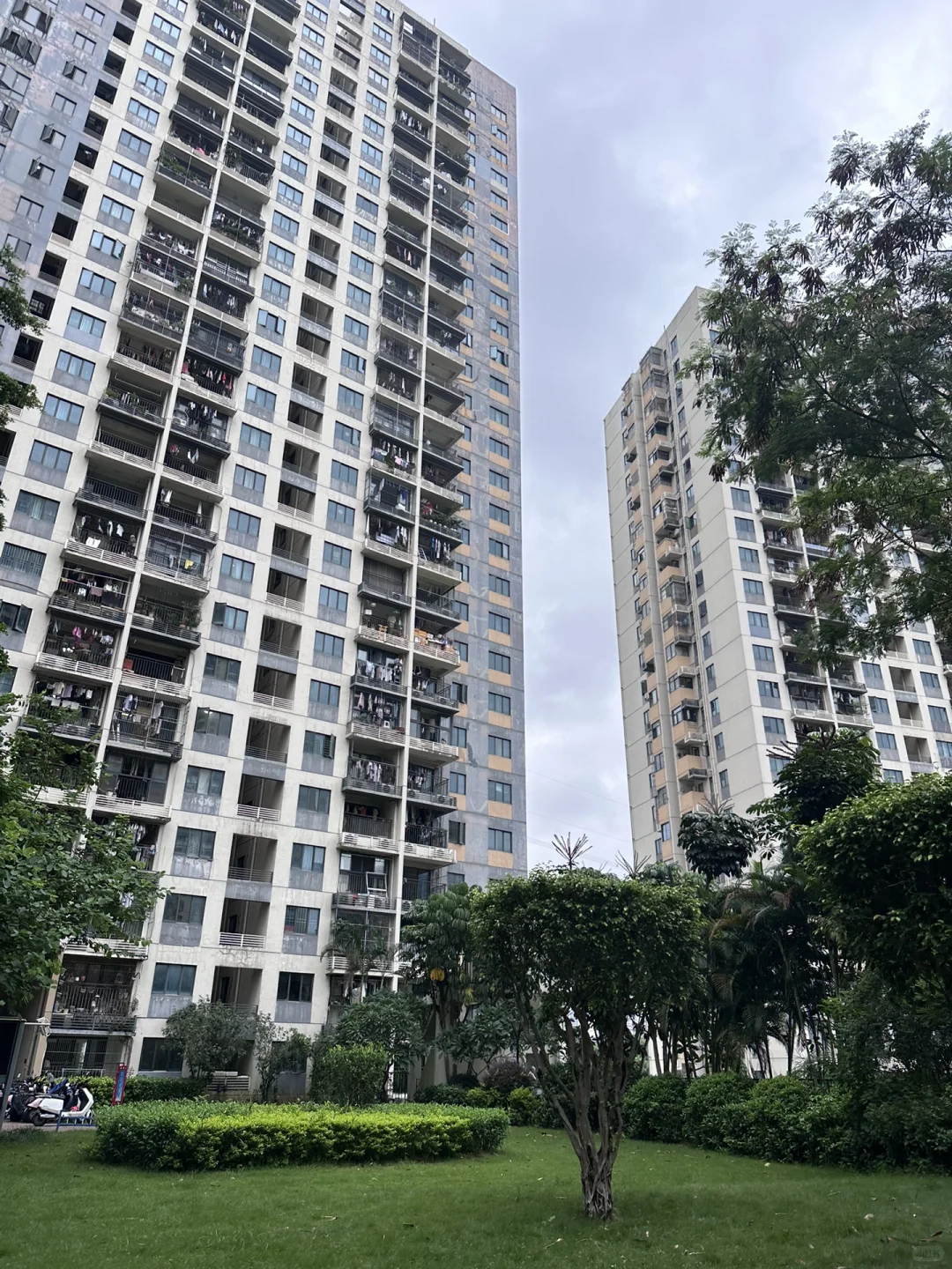 深圳牛马🐮150W看房记录 —龙华招商锦绣观园
