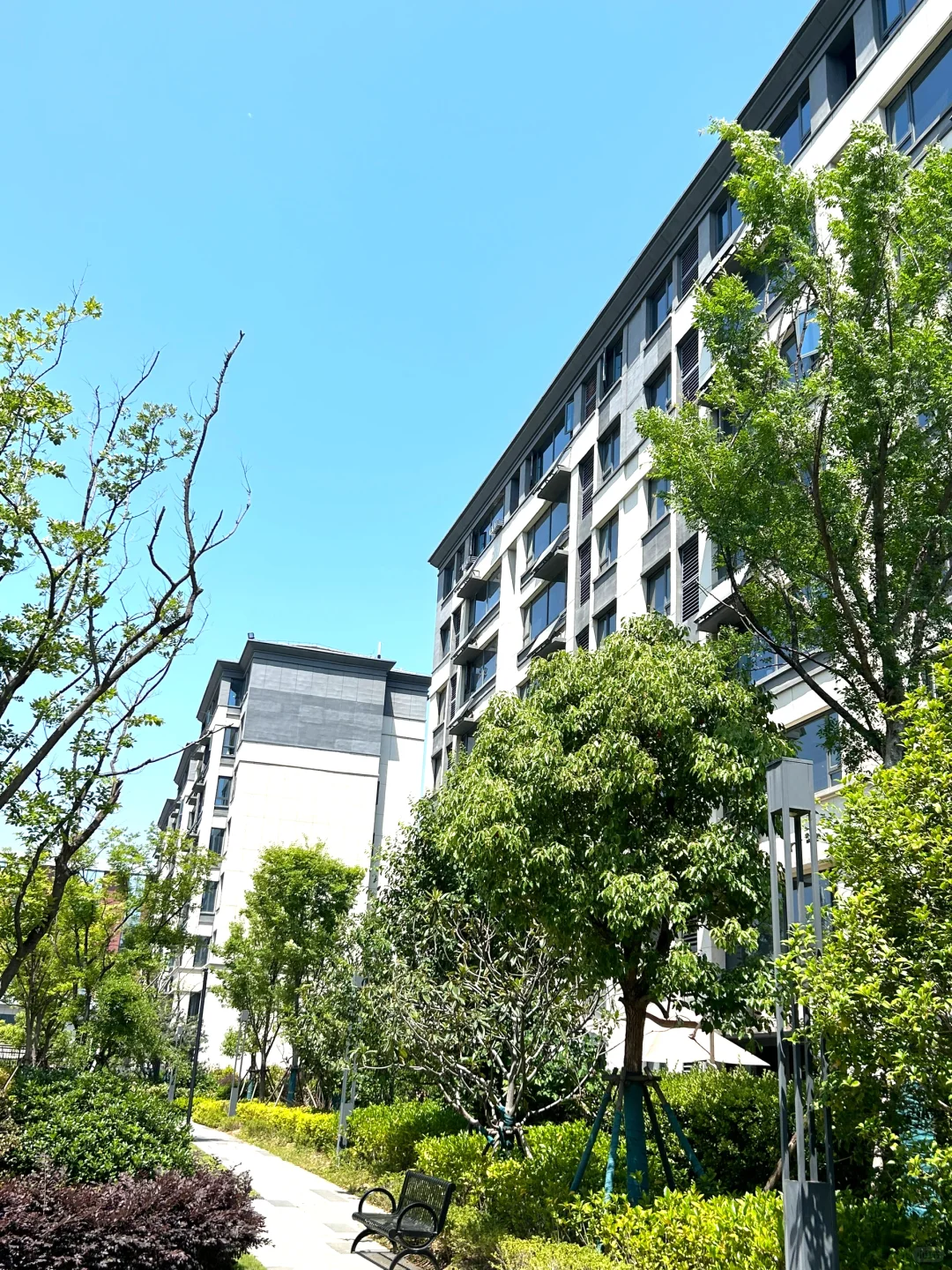 感谢合肥房价🙏让我住上合肥130平电梯洋房