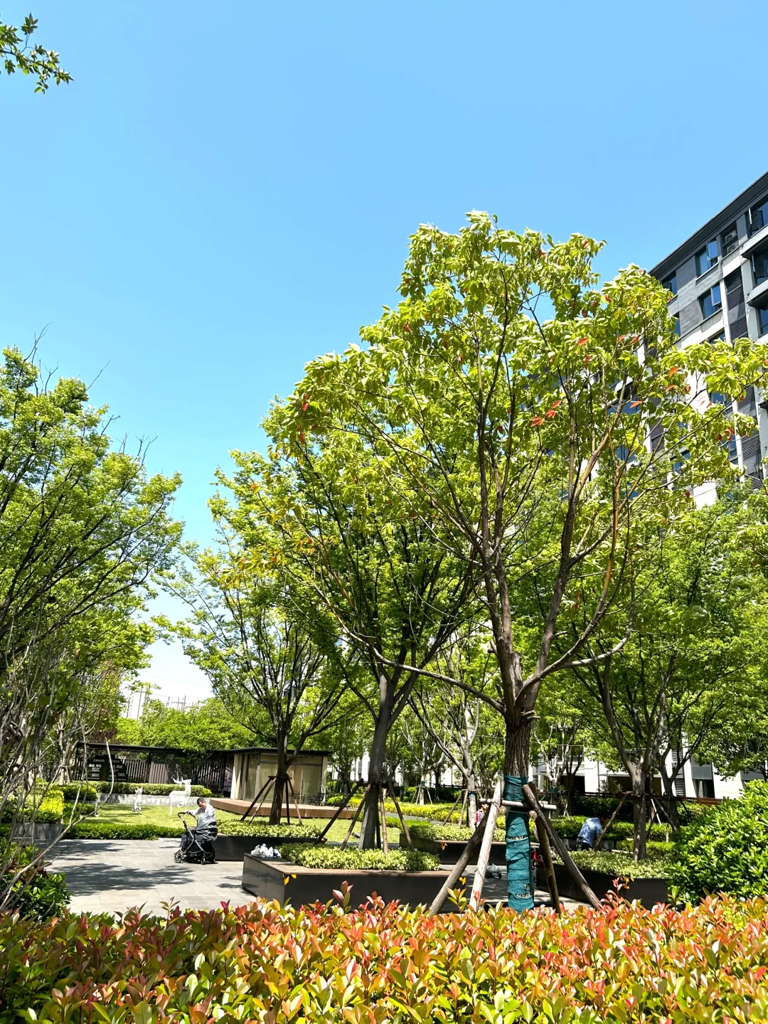 感谢合肥房价🙏让我住上合肥130平电梯洋房