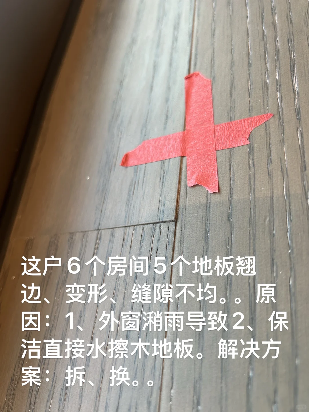 验房师-“紫金书院”会惩罚每一个细致的人