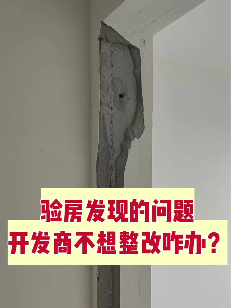 验房发现问题，开发商会整改吗？