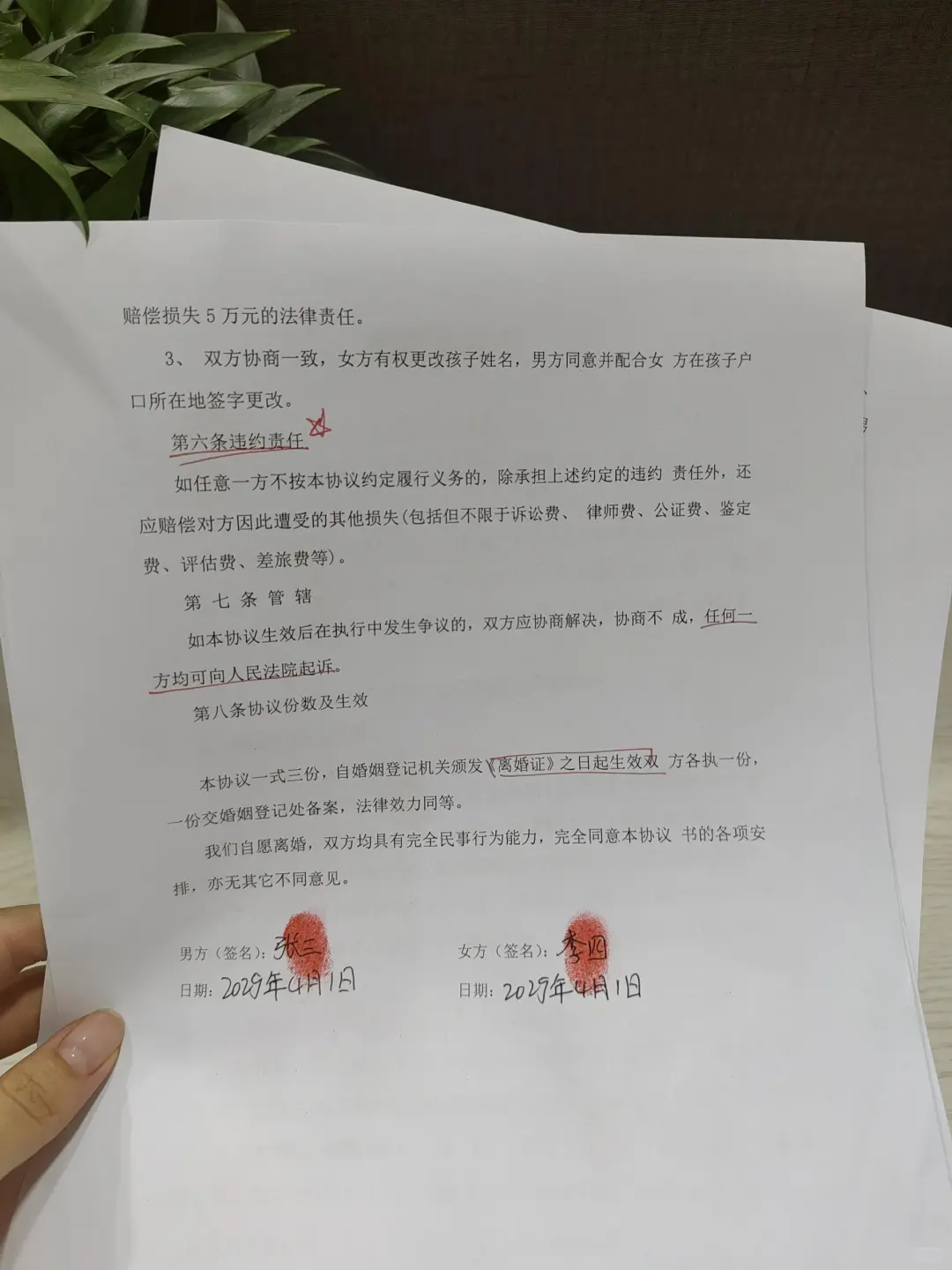 《离婚协议》千万别乱写❗️小心吃大亏❗️