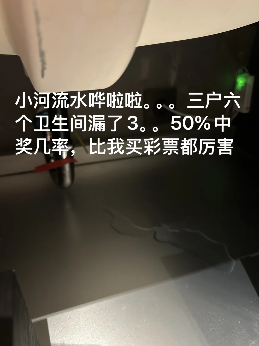 验房师-“紫金书院”会惩罚每一个细致的人