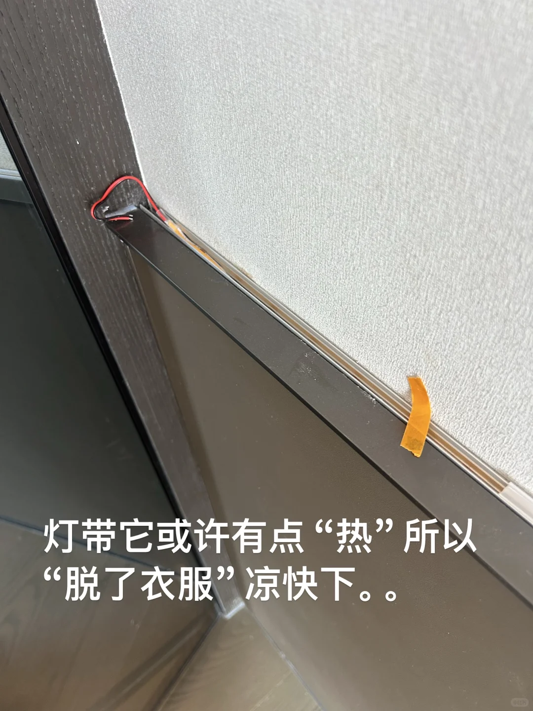 验房师-“紫金书院”会惩罚每一个细致的人