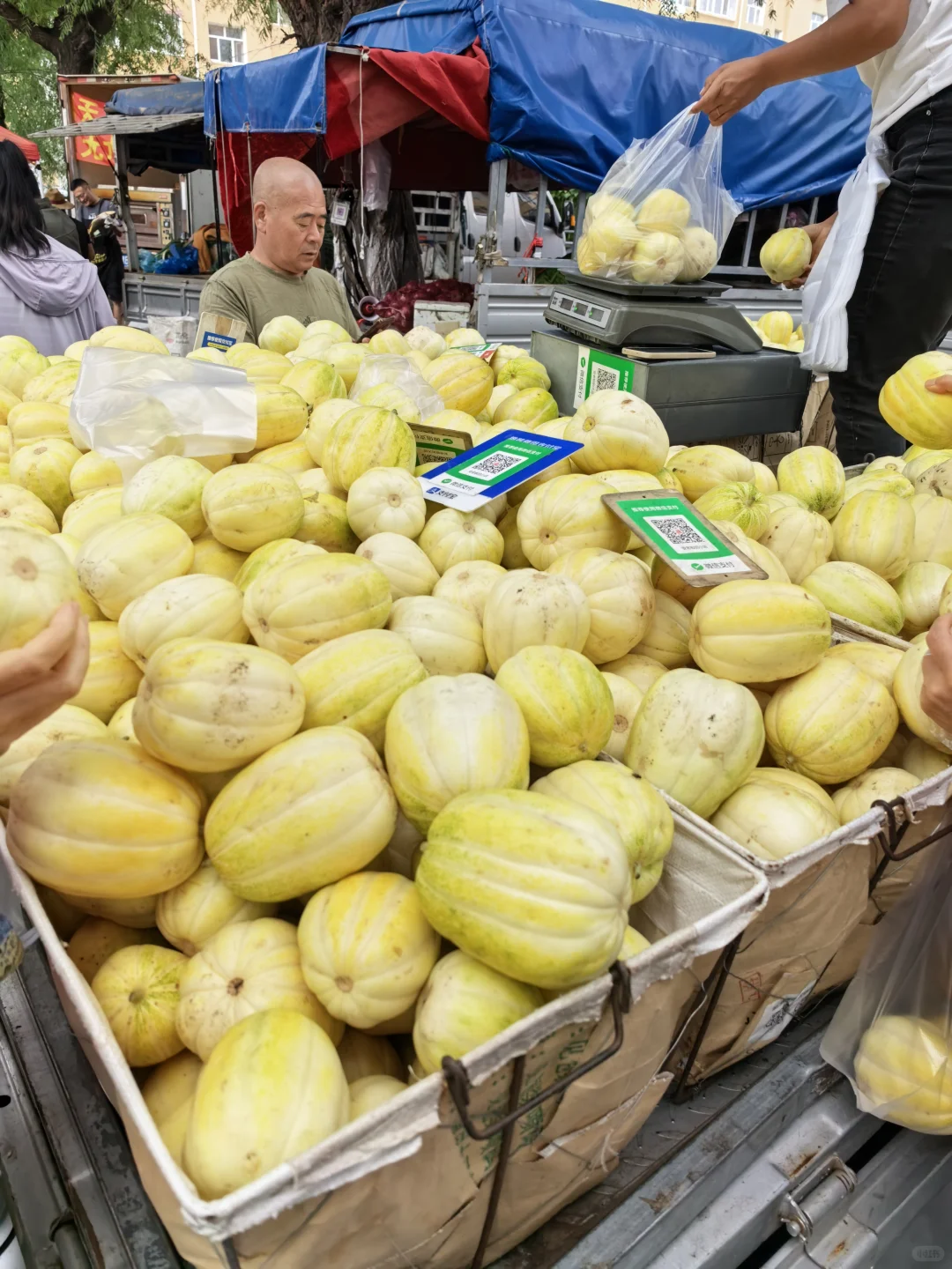 劝你不要在鹤岗买房