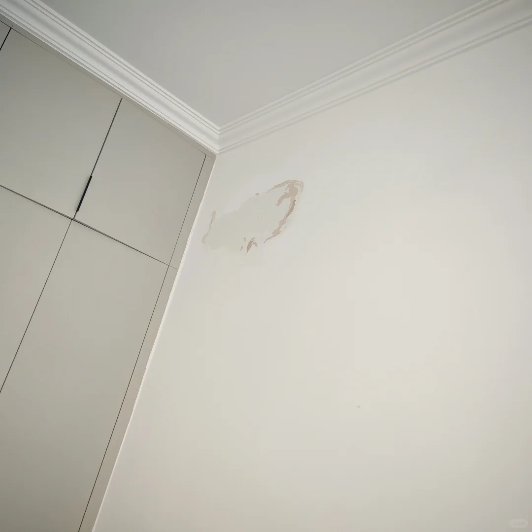看看我这装修公司 真的牛逼