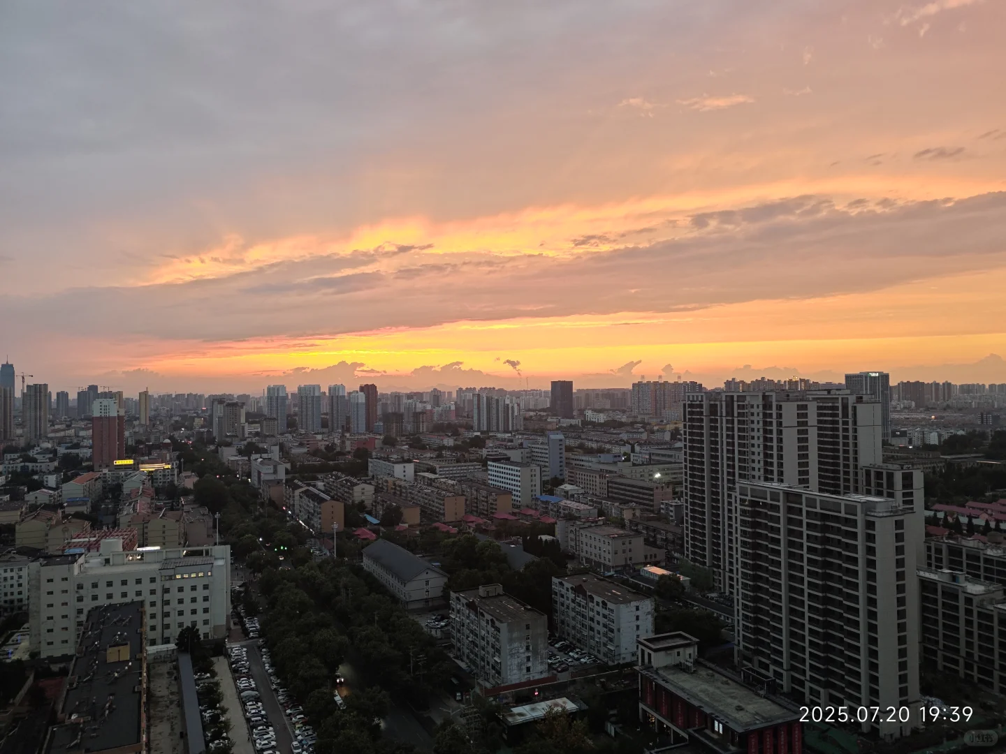 最新楼市情报 优质房源速递 买卖0米咨询