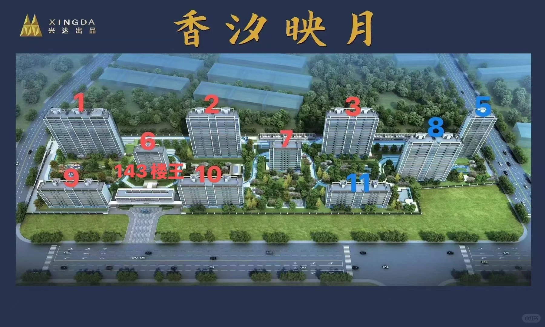 楼王来啦