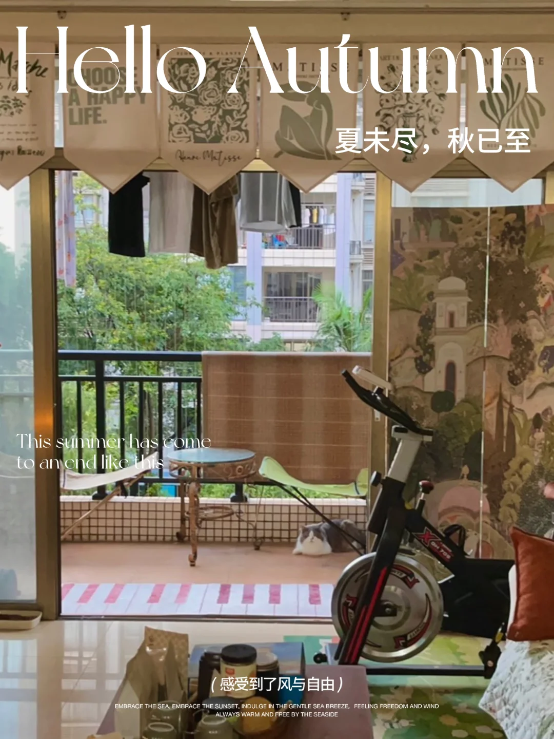 20年房龄的老房子，一年后的今天～