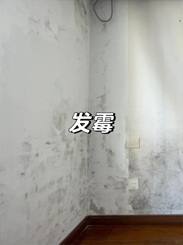 7种常见墙面问题大合集+处理方法