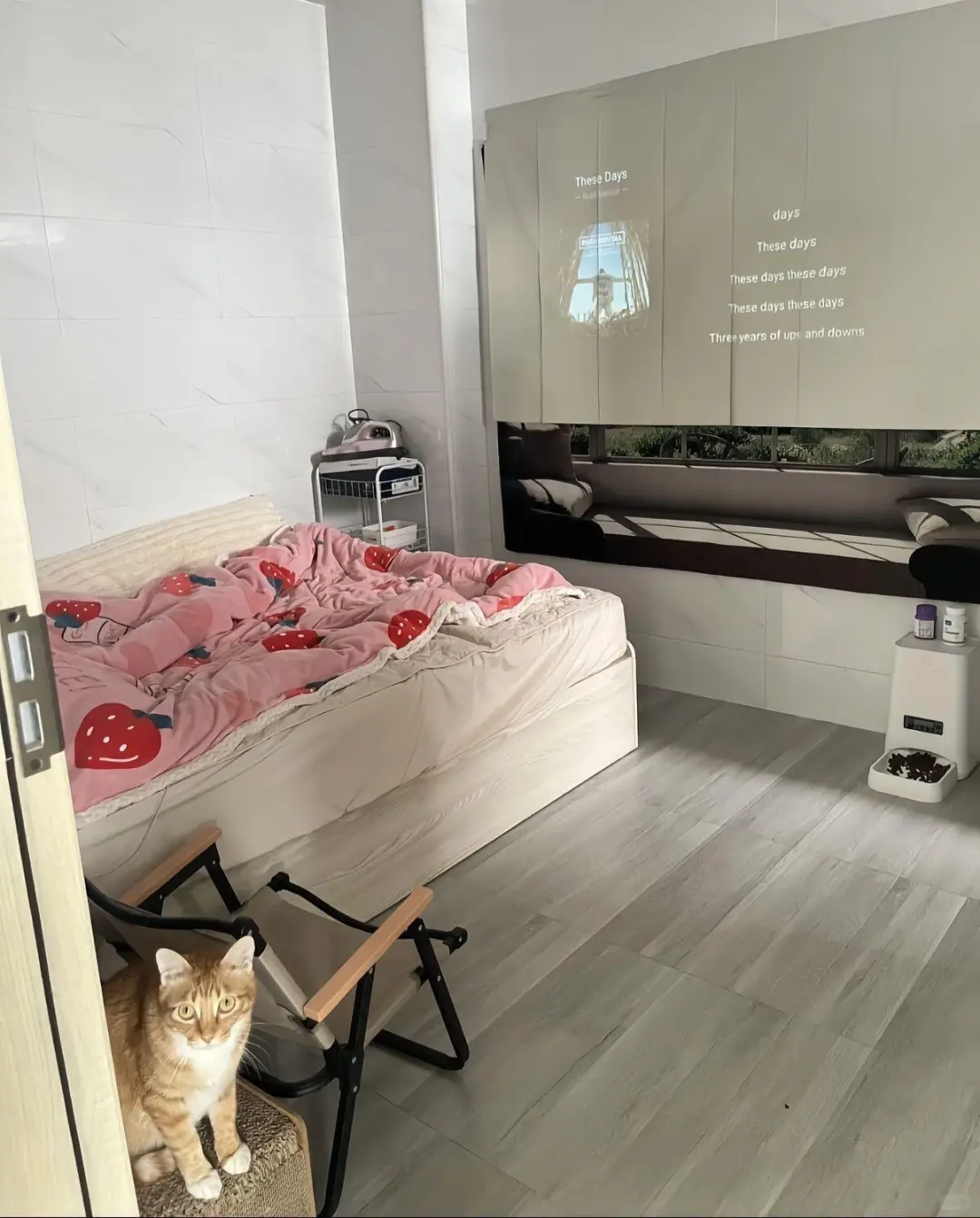 个人转租（因工作变动）一房一厅