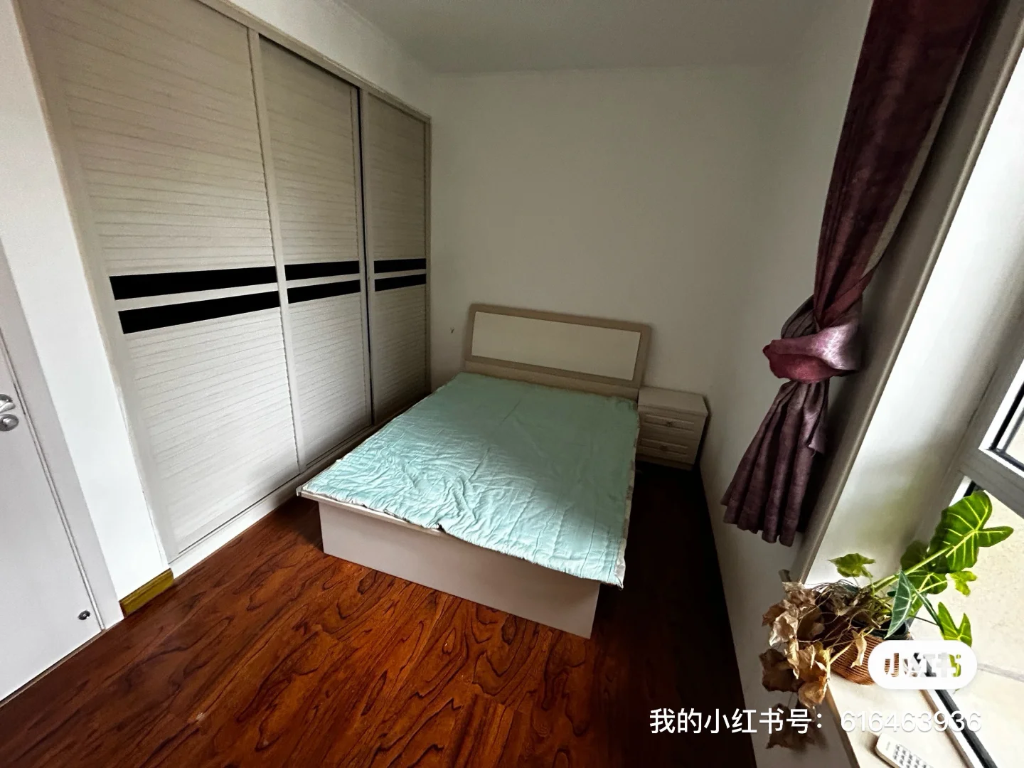 房东直租⬇️