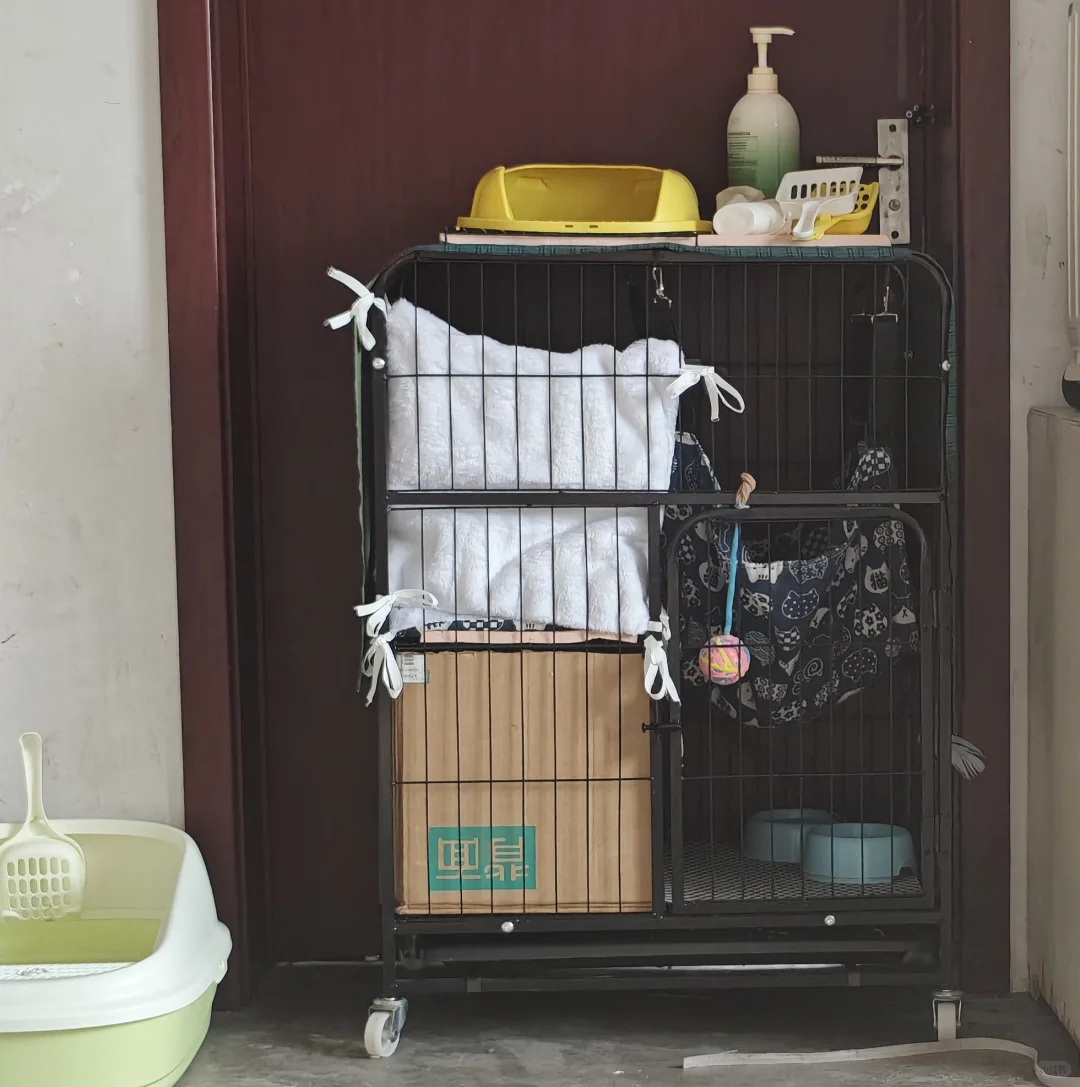 求租爱琴海附近可以养猫的，微急